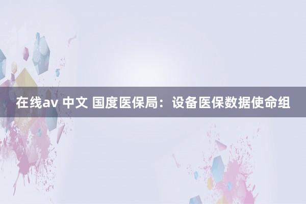 在线av 中文 国度医保局：设备医保数据使命组