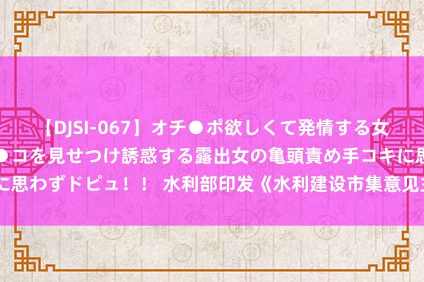 【DJSI-067】オチ●ポ欲しくて発情する女たち ところ構わずオマ●コを見せつけ誘惑する露出女の亀頭責め手コキに思わずドピュ！！ 水利部印发《水利建设市集意见主体信用信息惩办办法》