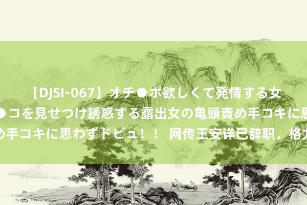 【DJSI-067】オチ●ポ欲しくて発情する女たち ところ構わずオマ●コを見せつけ誘惑する露出女の亀頭責め手コキに思わずドピュ！！ 网传王安详已辞职，格力电器暂无修起