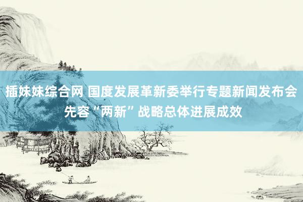插妹妹综合网 国度发展革新委举行专题新闻发布会 先容“两新”战略总体进展成效